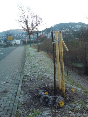 Vandalismus