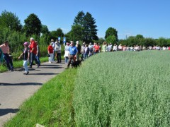 Spaziergang17.Juni_