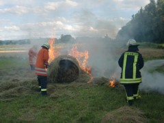 Die Feuerwehr musste mit zwei Fahrzeugen anrücken. (Bild: FFW Weinheim)