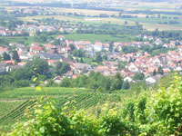 wein_lützelsachsen_tn