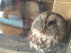 IMG_6082_tn