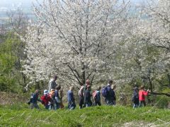 Kinderwanderung_2_tn