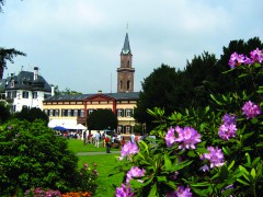 SchlossparkBlüteSilkeSchumacher