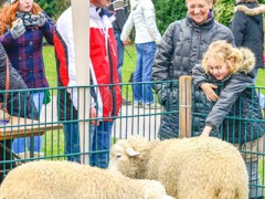osterwiese_slider-130331- 0011