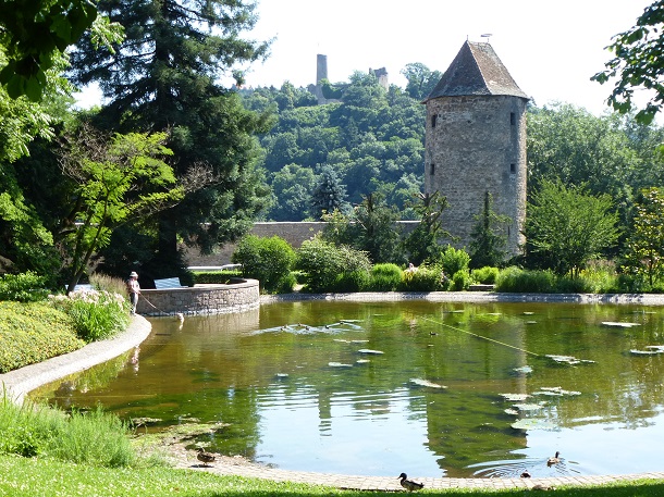 Teich mit Laich