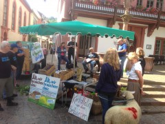 breitwiesen_buergerinitiative_marktplatz