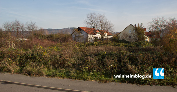 Die Brombeersträucher kommen weg. Auf dem Grundstück baut der Landkreis ein Asylbewerberheim für 200 Personen.
