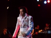 23_11_2012_elvis_1009