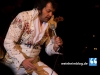elvis-0480-121123