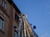 05062012_whm_grn_1002