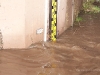 13012011_weinheim-14