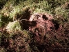 13012011_weinheim-2