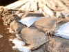 13012011_weinheim-21