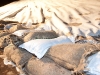 13012011_weinheim-22